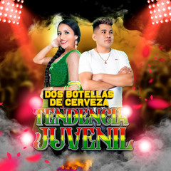 Dos botellas de Cerveza