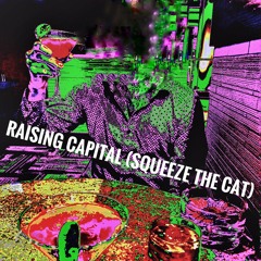 Raising Capital (Squeeze The Cat) 5