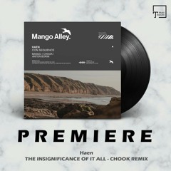 PREMIERE: Haen - The Insignificance Of It All (Chook Remix) [MANGO ALLEY]