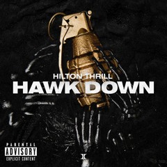 Hilton Thrill - HAWK DOWN (Original Version)