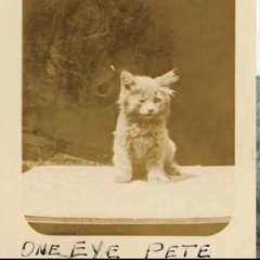 QUE HARIAS? - reynaldodc prod @lucazuker_ @1dvmi