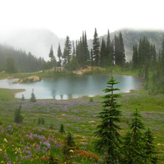 Somewhere Only We Know - Renee Dominque (cover)