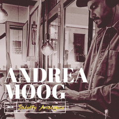 Vinyl Session | Andrea Møog x Salotto Analogico
