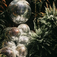 DANCING TIGHT ON AN EGYPTIAN NIGHT