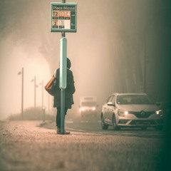 يطير حمام بيت الله نحوي - حمود بن بدر