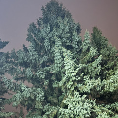 A Journey Into Houses Vol13