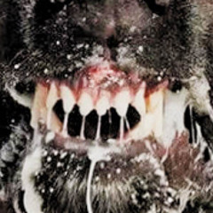 RABIES -freestyle (prod.satans fat cock)