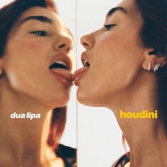 XRYL - UNRELEASED Remixes (2024) - Dua Lipa - Houdini  (XRYL Remix)