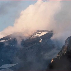 ▷▷ DREAMS & CATASTROPHY