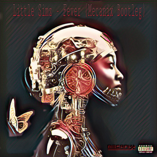 Fever - Little Simz (Mecanix Bootleg)
