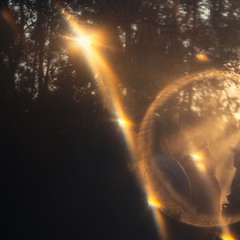 Vasco - Wildeburg 2024