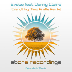 Everything (Acoustic Mix) [feat. Danny Claire]