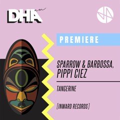 Premiere: Sparrow & Barbossa, Pippi Ciez - Tangerine [Inward Records]