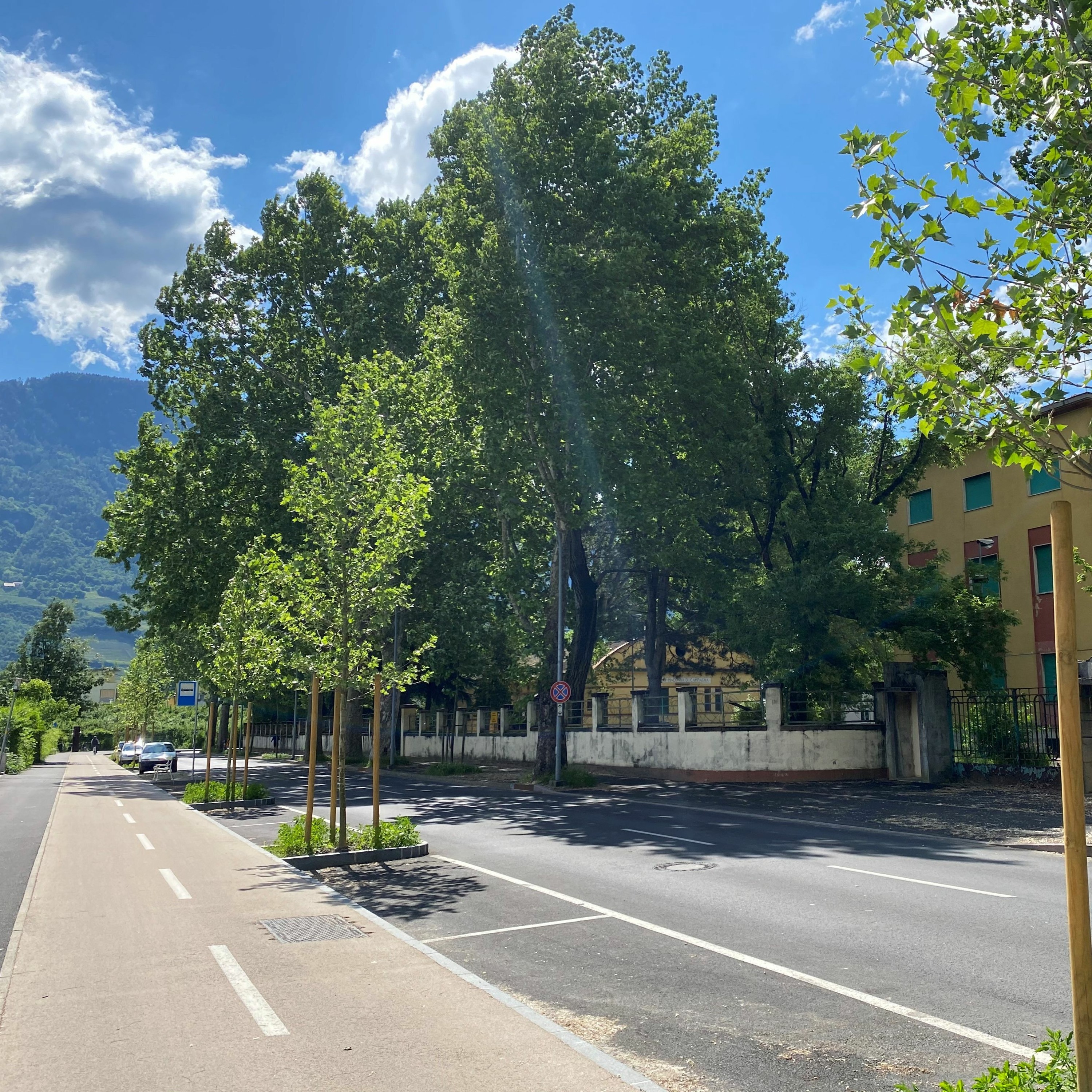 Audible Alps - CIPRA Podcast: Interviews, background talks and voices from all Alpine countries: Listen to this and more in the podcast of the International Commission for the Protection of the Alps.
