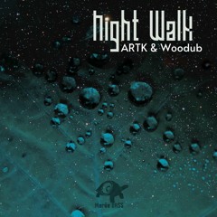 01 - Night Walk - ARTK & Woodub