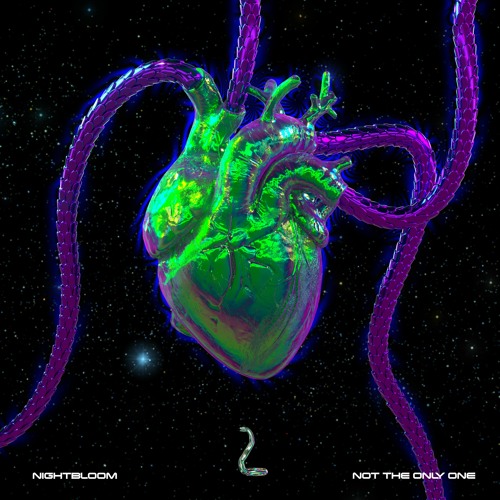 NIGHT BLOOM - Not The Only One (Pholo Remix) (out 29.07.22)