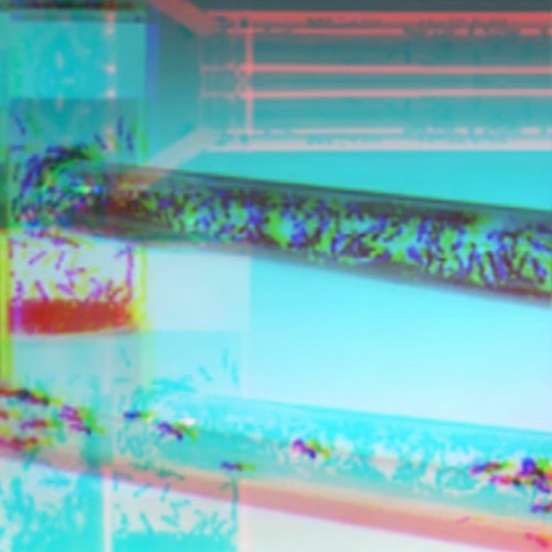 recompressed shit file and you dare to beg me for the money for the master haa ha