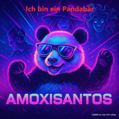 I am a panda bear techno style