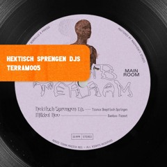 PREMIERE : Hektisch Sprengen DJs  - TranceSkeptisch Springen [TERRAM005]