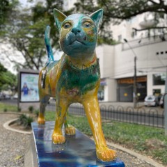 Gata Fogata