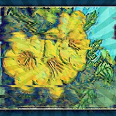 Tecoma Stans (ft. some guy from Brazil)