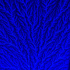 The Most Beautiful Thing I Carry