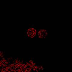 Rose Colored Glasses