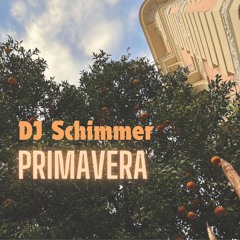DJ Schimmer - Primavera