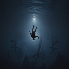 Falling Forward Instead