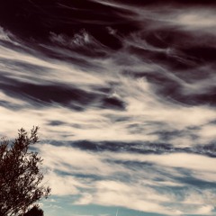 Zentralmuster | Something Slow 0164