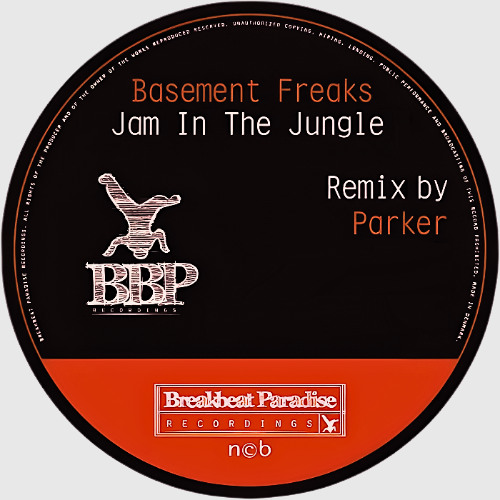 Jam In The Jungle feat Mc Coppa