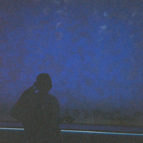 LEX-今日くらいはいい子でいようよ(p-bush remix)