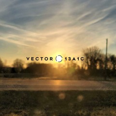 VECTOR 13A1C