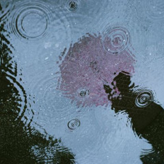 surviving the storm