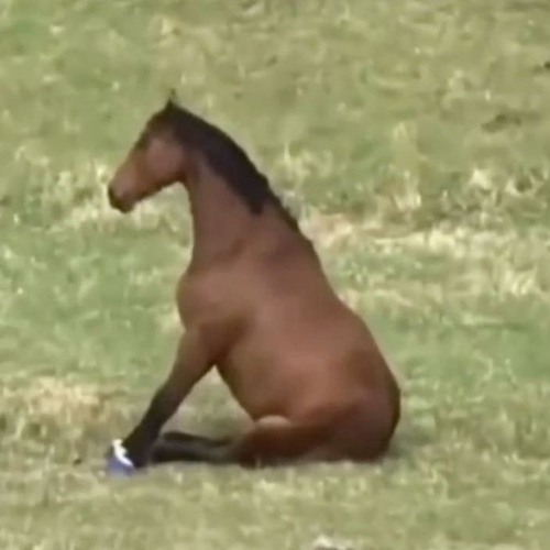 The Creature (II out now)