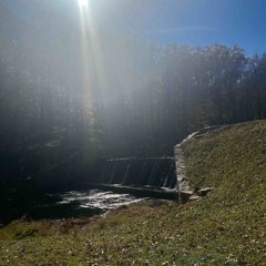 element (prod. Aloa x sxrapt)