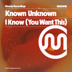 Known Unknown  - I Know ( You Want This )