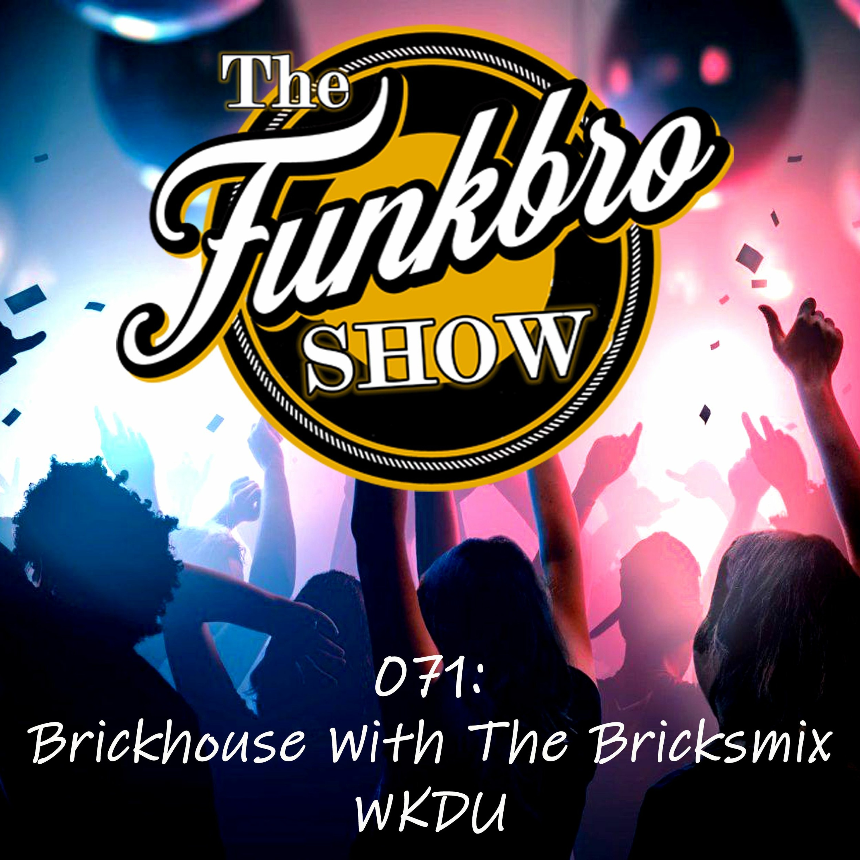 The FunkBro Show RadioActiveFM 071: Brickhouse With The Bricksmix WKDU(Aired 01/14/2022) episode artwork