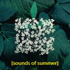 Sounds of Summer