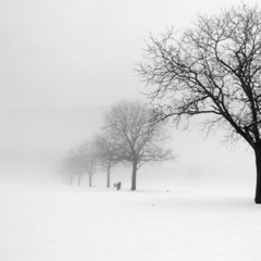Ambient 120