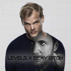 Avicii - Levels X David Guetta - Sexy Bitch (feat. Akon)[Advms Lvnuti Mashup]