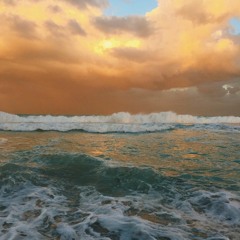 🔥 Macan - Fell In Love 🔥