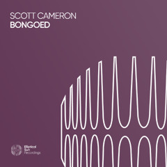 Scott Cameron  - Bongoed