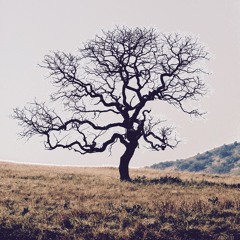 Moving on (Demo)