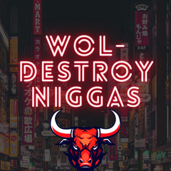 Wol- Destroy Niggas