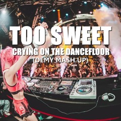 Too Sweet vs Crying On The Dancefloor (DEMY Mash Up) Free Download