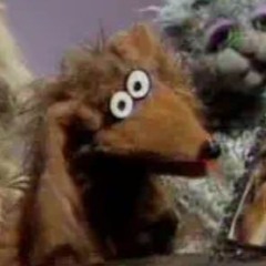 Surfin' Song by Buzz the Wharf Rat