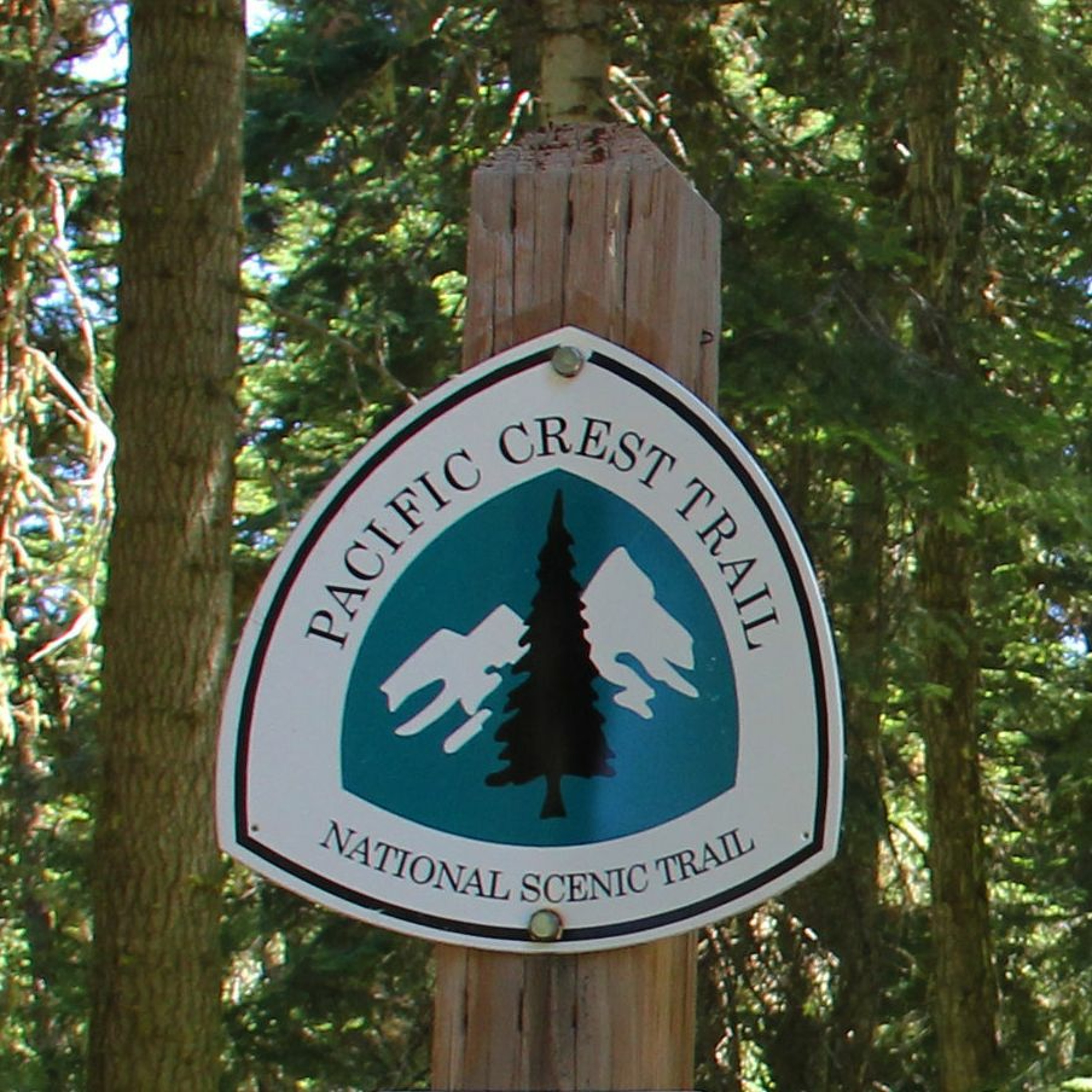 Tree Deaths and Climate, ‘Forest Bathing’, Journeys North: The Pacific Crest Trail and more episode artwork
