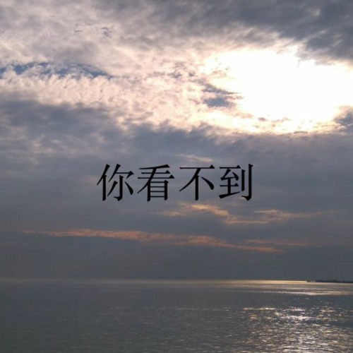 你看不到 You Can't See