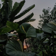 kyduyen